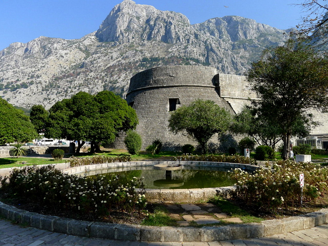 Kotor